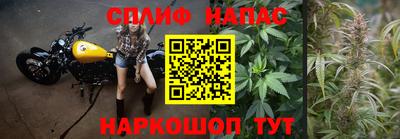 соль ск Обь