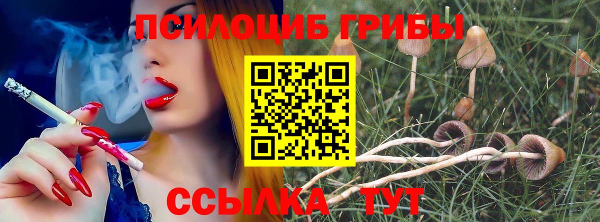 Галлюциногенные грибы Magic Shrooms Соликамск