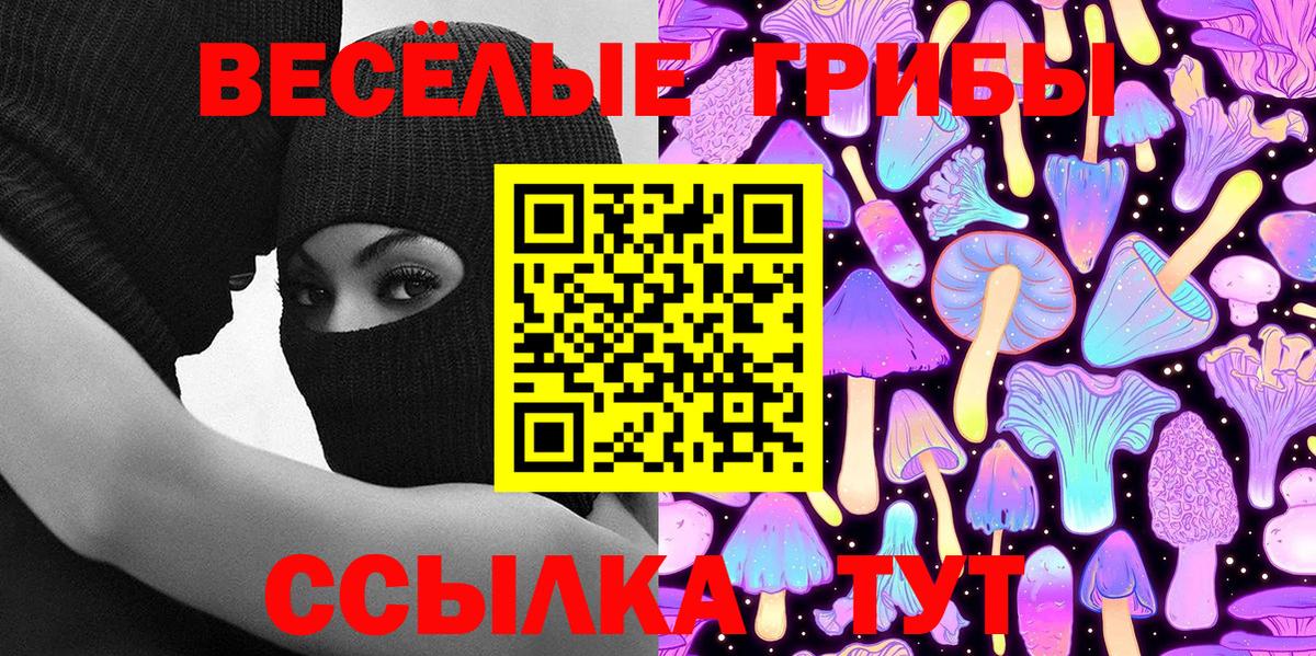 Псилоцибиновые грибы Psilocybe  Вход с VPN  Соликамск  Псилоцибиновые грибы мухоморы 